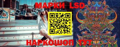 дмт Кимры
