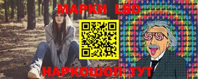 МДПВ Кингисепп