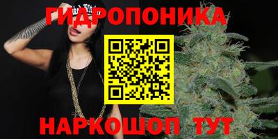 спайс Кинель