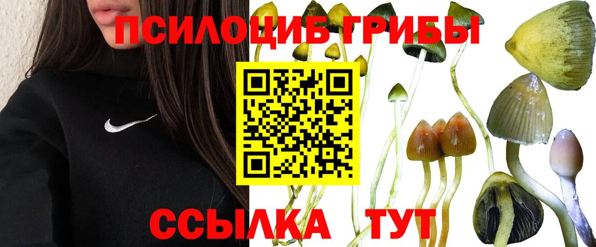 Галлюциногенные грибы Psilocybine cubensis  Вход с VPN  купить наркотик  Псилоцибиновые грибы Psilocybine cubensis  Красноярск 