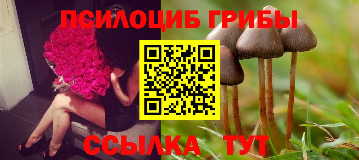 Псилоцибиновые грибы MAGIC MUSHROOMS Красноярск